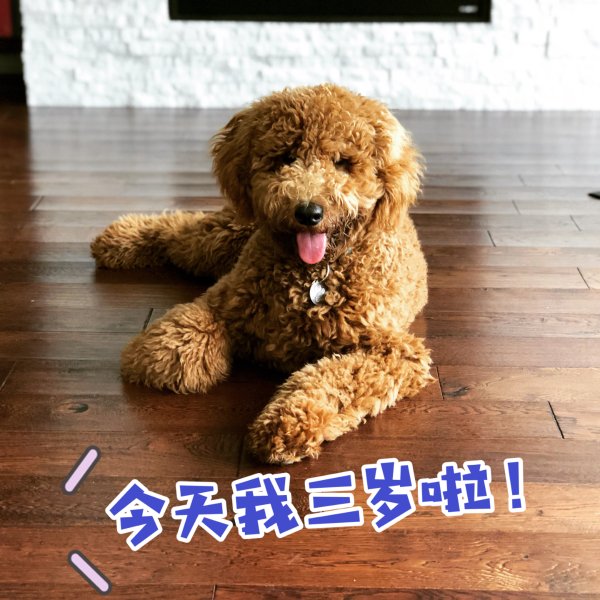 晒货图片