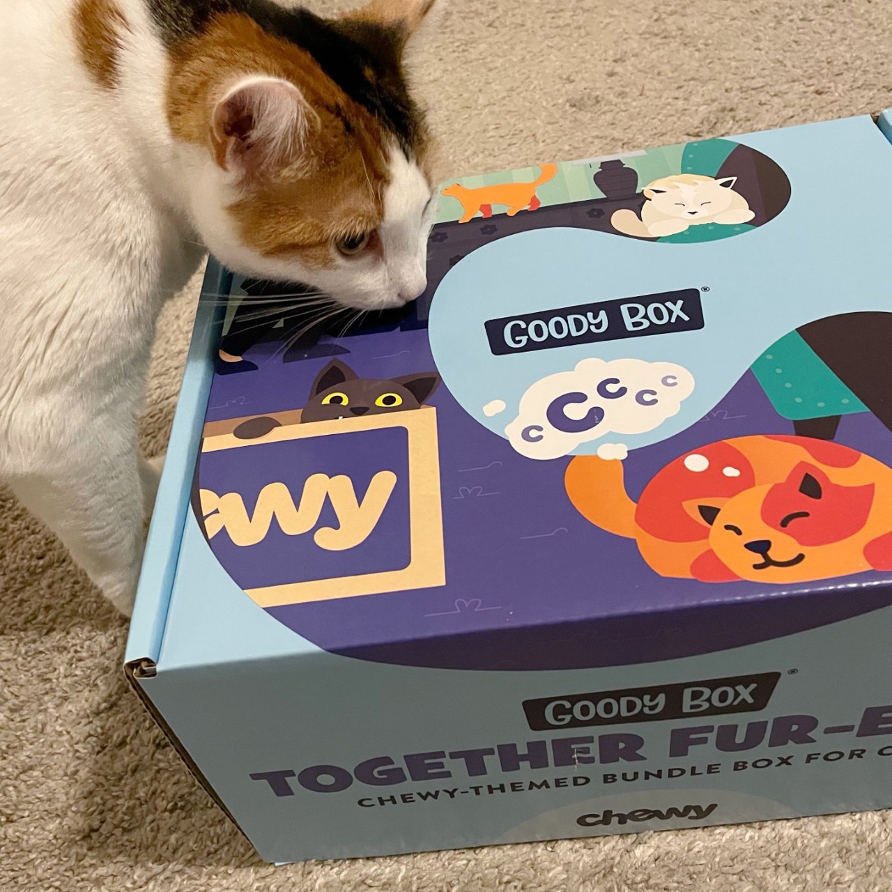 Goody Box Chewy 系列猫咪惊喜礼盒