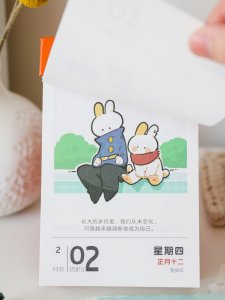 想要一整年的好运｜可爱爆表的兔兔🐰日历