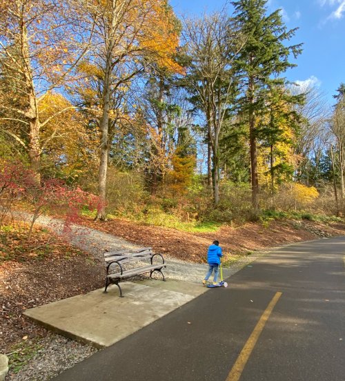2300 Arboretum Drive East 西雅图华盛顿植物园washington Park Arboretum