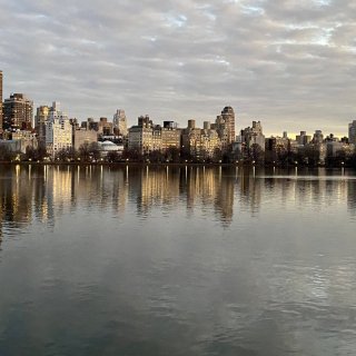 日落时分的中央公园美翻了...