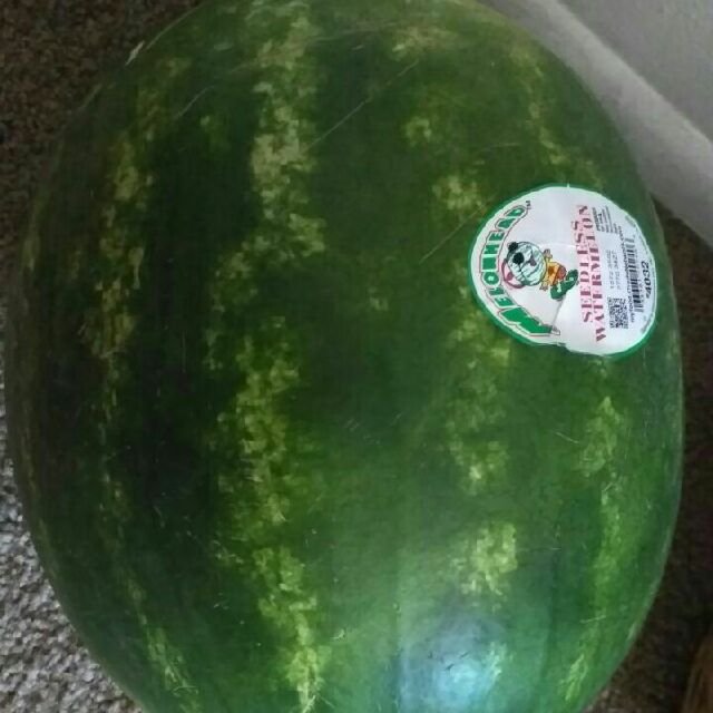 夏天到了，怎么能少了解暑降温的大西...