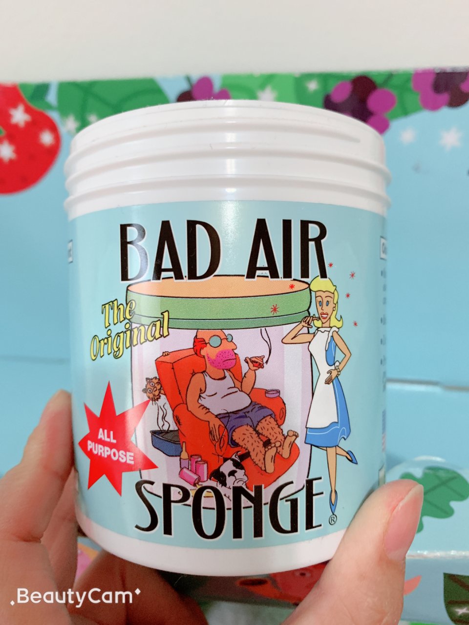 Bad air sponge 21