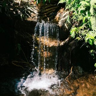 夏威夷大岛|飞流直下见瀑布🫧来山林吸氧...