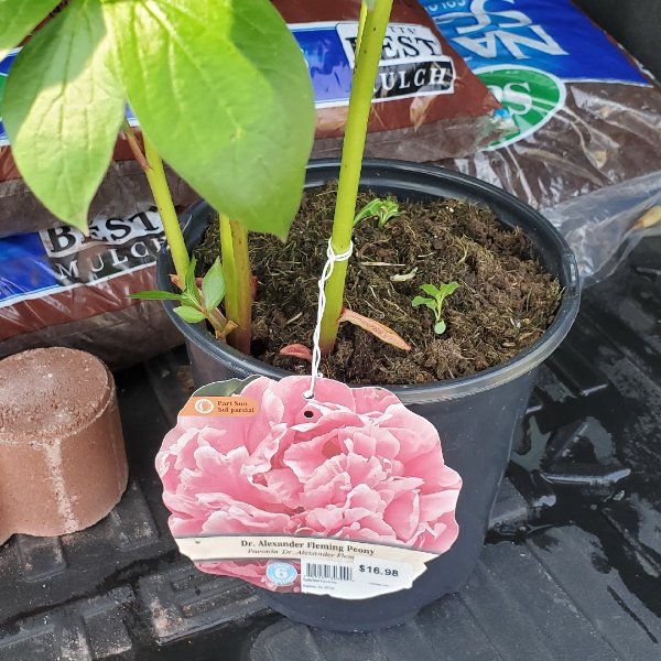 晒货图片