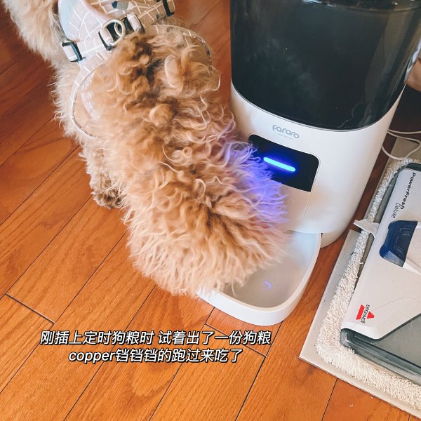 晒货图片