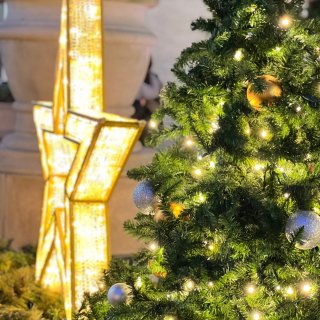寻找华盛顿DC圣诞树🎄是有星星雪花陪伴的...