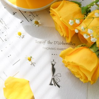 夏日里的好心情｜温暖的黄玫瑰...