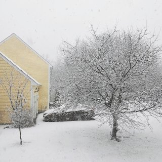 今年好大雪🌨️，外面一幅俨然天成的水墨画...