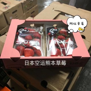 🍓最近超火的日本熊本草莓🍓...