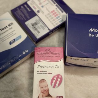 Update 如何用MomMed备孕验孕...