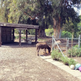 驴驴公园