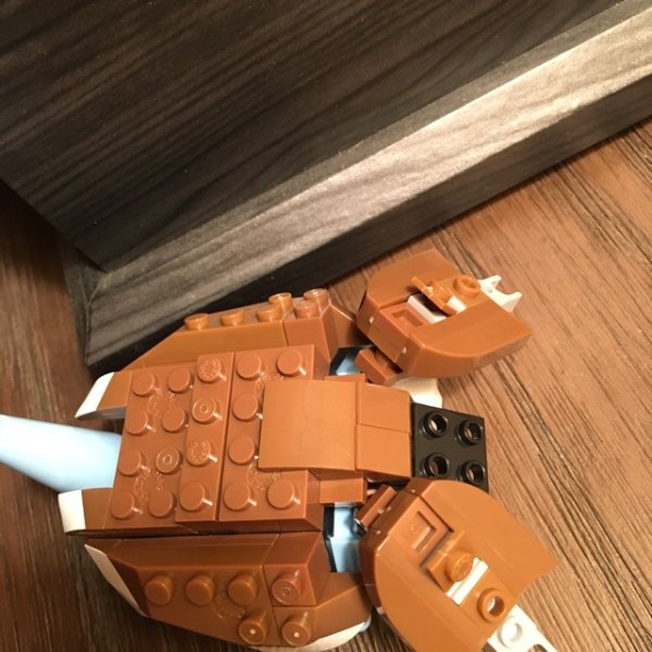 晒货图片
