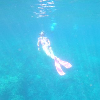夏威夷大岛潜水的天堂 盲盒之旅 初次尝试...