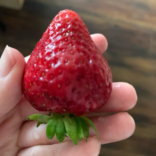 愿望1⃣️4⃣️ 草莓...
