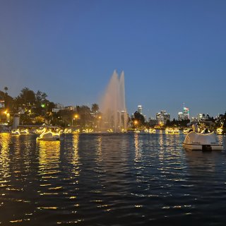 洛杉矶Echo park天鹅船🦢夏夜晚上...