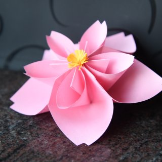 【折纸樱花，给小朋友讲述日本樱花季的美好...