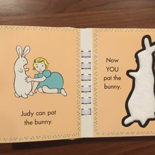 童书Pat the bunny