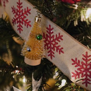 第一棵自己家里组装+装饰的圣诞树🎄...
