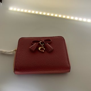 Mini coach wallet 
