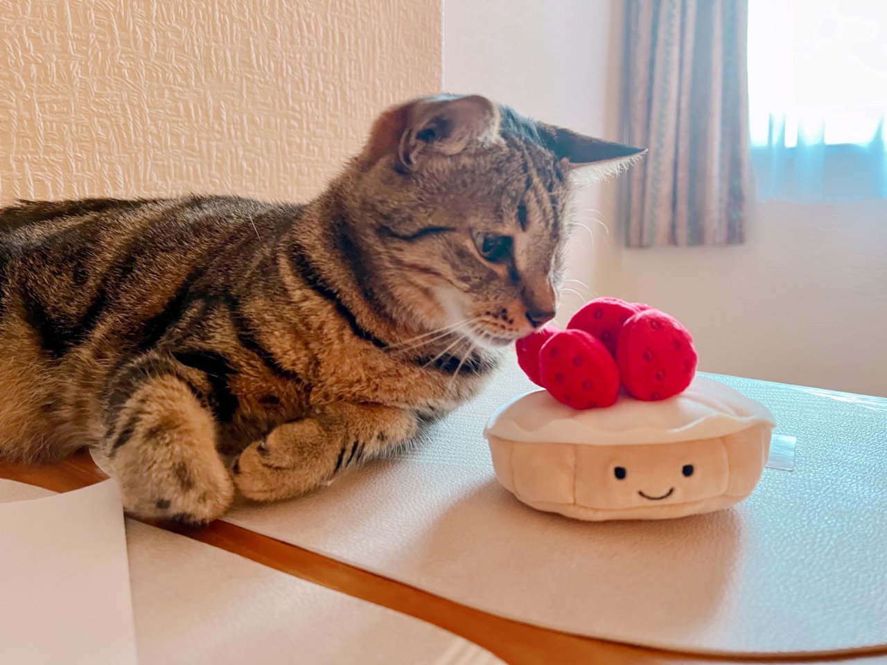 貓貓也要吃草莓塔，不胖的甜點...