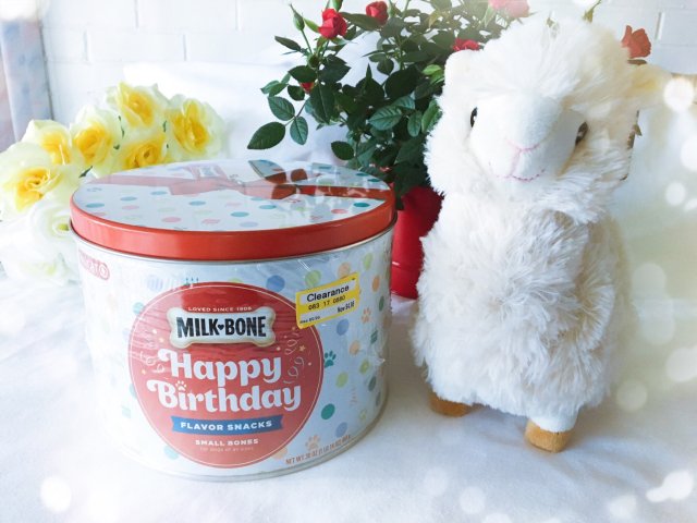 705，让狗狗🐶欲罢不能的小饼干🐶🐶