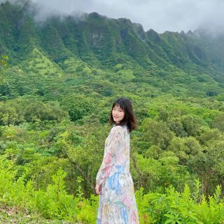夏威夷欧胡岛-藏于深山幽谷的世外仙境植物...