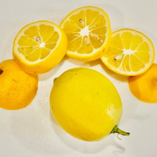 收获了柠檬🍋摘几个尝鲜...