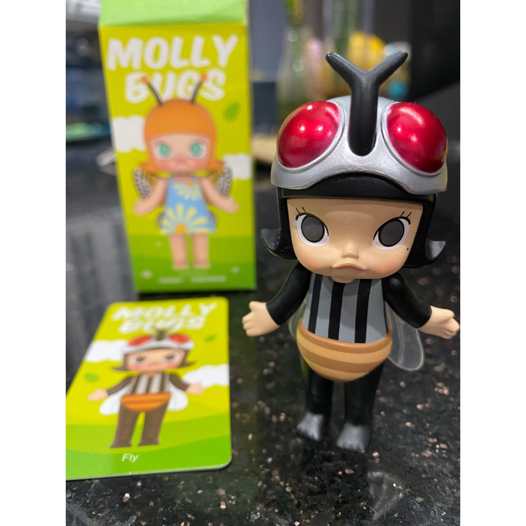 Molly昆虫系列来了～...