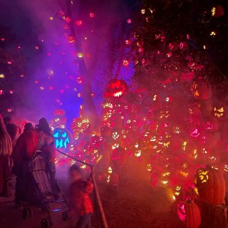 🎃万圣节去看看波士顿地区Zui大的南瓜灯...