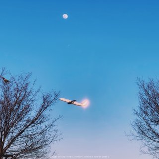 夕阳🌇+飞机✈️+圆月🌕：后悔没带相机😂...