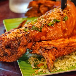 你一定没吃过这样的越南菜🇻🇳整条炸鲶鱼惊...