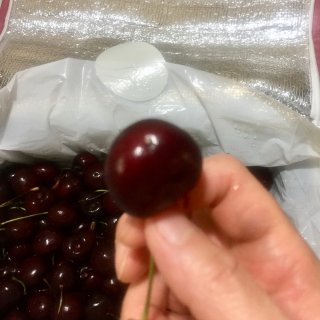Premium Fresh Northwest Cherries,华州顶级车厘子,车厘子直邮中国