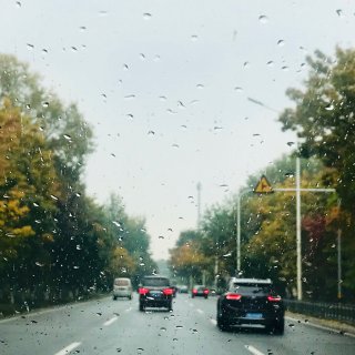 💚🖤 || 一场秋雨一场寒 是我最爱的季...