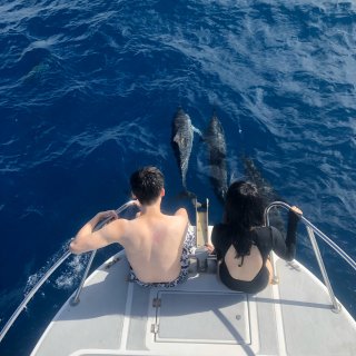 夏威夷大岛kona看海豚和🐬游泳...