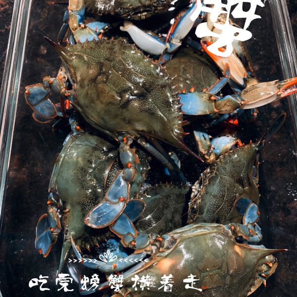 晒货图片