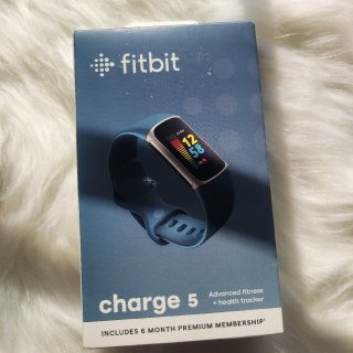 来自队友的关怀- Fitbit Char...