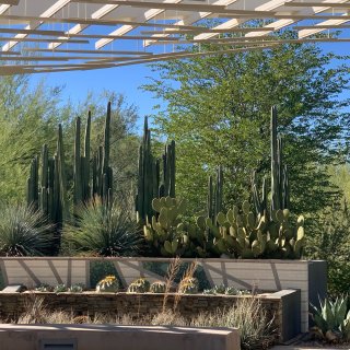Desert Botanic Garde...