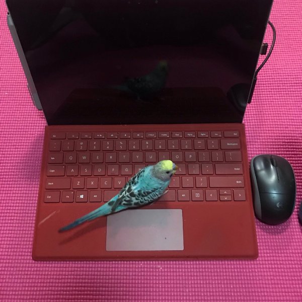 晒货图片