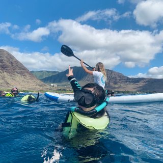 夏威夷旅行｜欧胡岛景点🐬水下摩托➕与海豚...