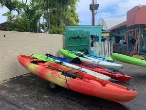 差点小命都没了的|夏威夷kailua海滩kayak