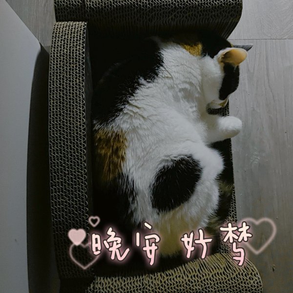 晒货图片