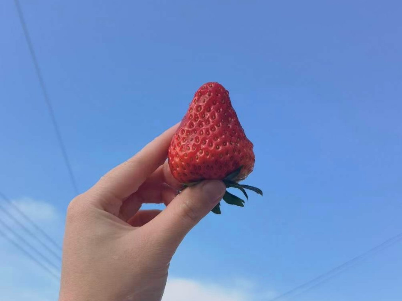1️⃣第一颗草莓🍓...