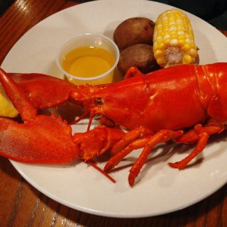 Lobster,黑五战利品