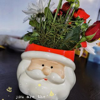 【🎄圣诞装饰】丨值得拥有的圣诞老人小盆栽...
