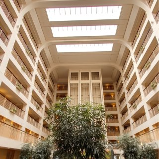 Embassy Suites by Hilton - 芝加哥 - Rosemont
