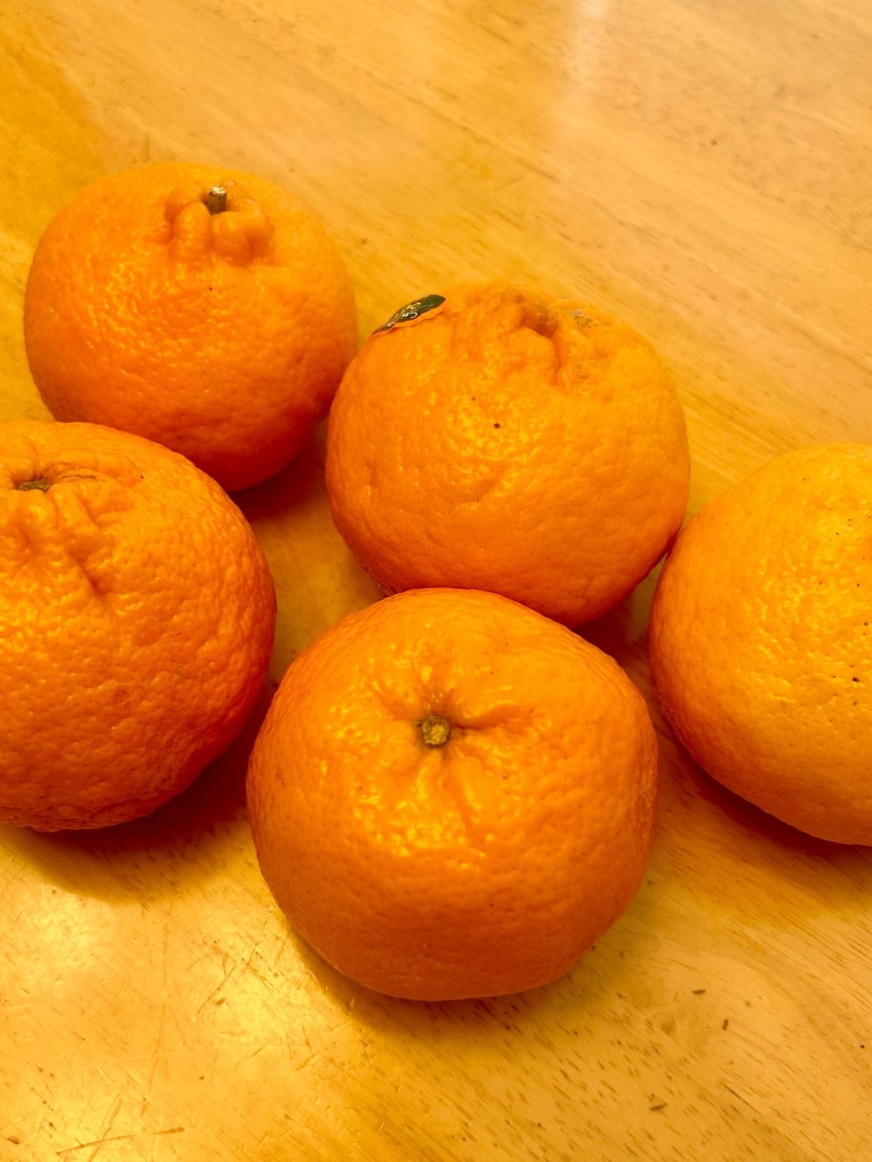 9、橘子🍊