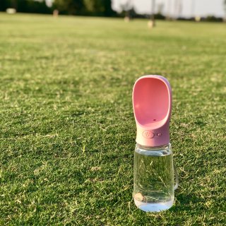 Outdoor Pet Water Bottle