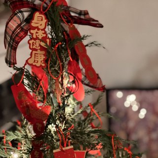 圣诞树再利用♻️秒变春节树 低成本氛围满...