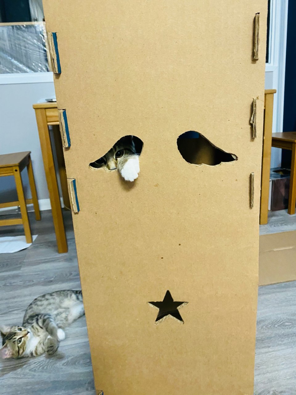 自制猫猫城堡